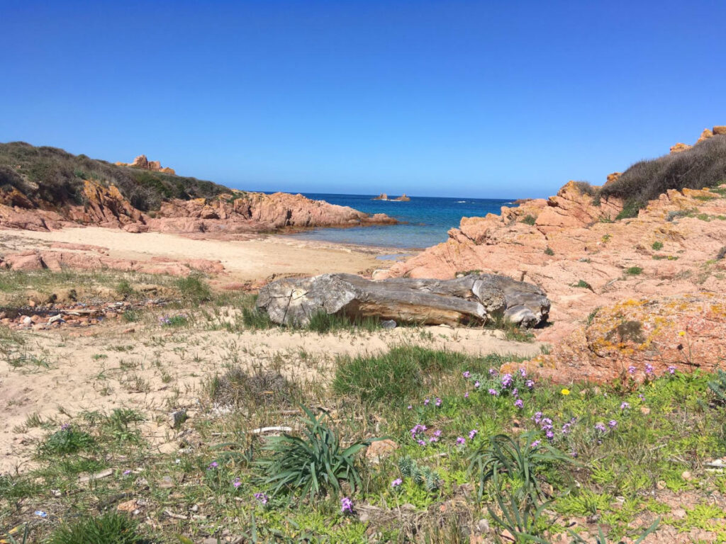 Weite Küstenlandschaft mit Felsen und offenem Meer unter klarem Himmel.