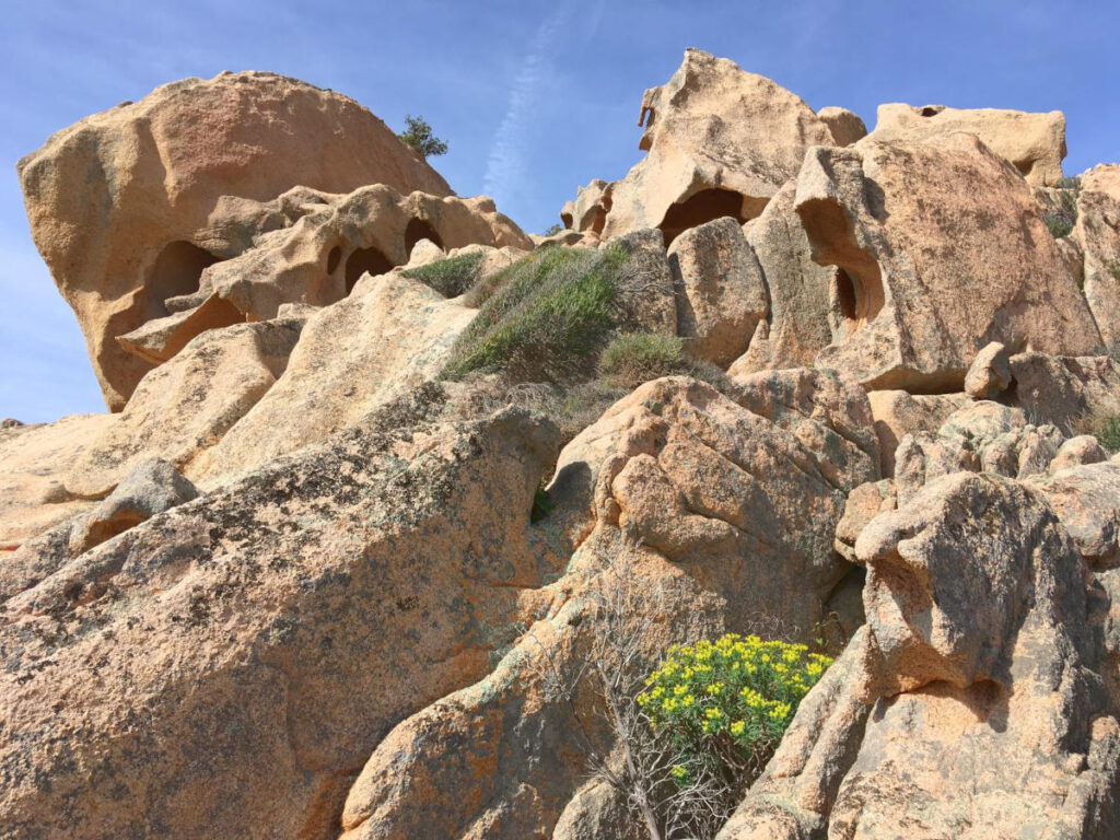 Helle Granitformation mit wilder Vegetation in mediterraner Umgebung.